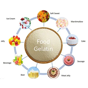 Professional Halal Bovine Gelatin Beef with Halal Certificate 120 -160 Bloom